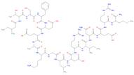 Calcineurin Autoinhibitory Peptide