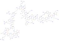 PKCβpseudosubstrate