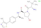 E3 ligase Ligand 1