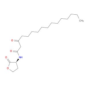 N-3-oxo-hexadecanoyl-L-Homoserine lactone