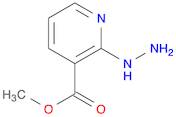 2-Hydrazino-nicotinic acid methyl ester