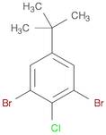 4-Chloro-3,5-dibromo-tert-butylbenzene