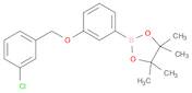 1,3,2-Dioxaborolane, 2-[3-[(3-chlorophenyl)methoxy]phenyl]-4,4,5,5-tetramethyl-