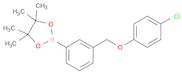 2-(3-((4-chlorophenoxy)methyl)phenyl)-4,4,5,5-tetramethyl-1,3,2-dioxaborolane