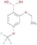 (2-Ethoxy-4-(trifluoromethoxy)phenyl)boronic acid