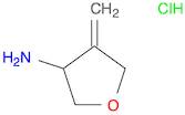 4-methylideneoxolan-3-amine hydrochloride