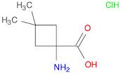 1-amino-3,3-dimethylcyclobutane-1-carboxylic acid hydrochloride