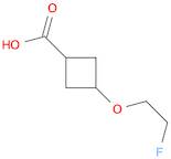 3-(2-fluoroethoxy)cyclobutane-1-carboxylic acid