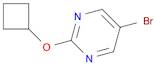 5-Bromo-2-cyclobutoxypyrimidine