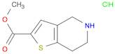 Methyl 4,5,6,7-tetrahydrothieno[3,2-c]pyridine-2-carboxylate hydrochloride