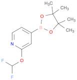 2-(Difluoromethoxy)-4-(4,4,5,5-tetramethyl-1,3,2-dioxaborolan-2-yl)pyridine