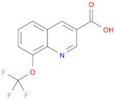 8-(trifluoromethoxy)quinoline-3-carboxylic acid