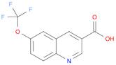 6-(trifluoromethoxy)quinoline-3-carboxylic acid