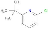 2-chloro-6-(1,1-dimethylethyl)-pyridine