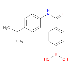 B-[4-[[[4-(1-methylethyl)phenyl]amino]carbonyl]phenyl]Boronic acid