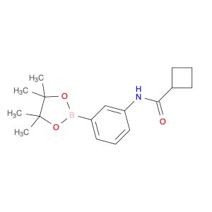 N-(3-(4,4,5,5-tetramethyl-1,3,2-dioxaborolan-2-yl)phenyl)cyclobutanecarboxamide