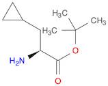 S-环丙基丙氨酸叔丁酯