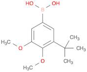 Boronic acid, [3-(1,1-dimethylethyl)-4,5-dimethoxyphenyl]-