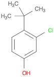 Phenol, 3-chloro-4-(1,1-dimethylethyl)-