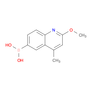 (2-Methoxy-4-methylquinolin-6-yl)boronic acid