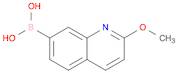 2-Methoxyquinoline-7-boronic acid