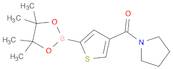 4-(Pyrrolidinocarbonyl)thiophene-2-boronic acid pinacol ester