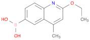 (2-Ethoxy-4-methylquinolin-6-yl)boronic acid