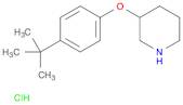 3-[4-(tert-Butyl)phenoxy]piperidine hydrochloride