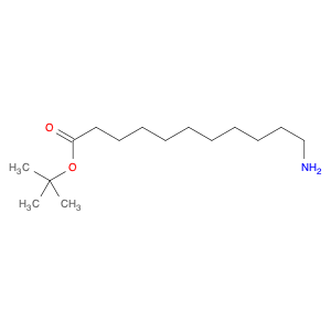 tert-Butyl 11-aminoundecanoate