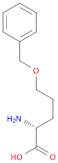 5-(Phenylmethoxy)-D-norvaline