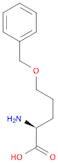 5-(Phenylmethoxy)-L-norvaline