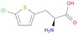 3-(5-Chlorothien-2-yl)-L-alanine