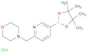 2-Morpholinopyridine-5-boronic acid pinacol ester, HCl