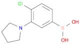 [4-Chloro-3-(pyrrolidin-1-yl)phenyl]boronic acid