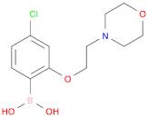 {4-Chloro-2-[2-(morpholin-4-yl)ethoxy]phenyl}boronic acid