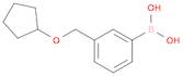 [3-(cyclopentyloxymethyl)phenyl]boronic acid