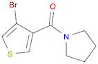 1-[(4-Bromothiophen-3-yl)carbonyl]pyrrolidine