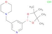 5-Morpholinomethylpyridine-3-boronic acid pinacol ester HCl