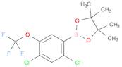 2,4-Dichloro-5-(trifluoromethoxy)phenylboronic acid, pinacol ester