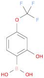 2-羟基-4-(三氟甲氧基)苯硼酸
