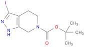 tert-butyl 3-iodo-1H,4H,5H,6H,7H-pyrazolo[3,4-c]pyridine-6-carboxylate