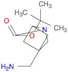 tert-butyl 4-(aminomethyl)-2-azabicyclo[2.1.1]hexane-2-carboxylate