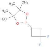 2-(3,3-difluorocyclobutyl)-4,4,5,5-tetramethyl-1,3,2-dioxaborolane