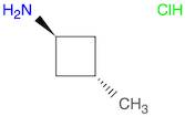 trans-3-methylcyclobutanamine;hydrochloride