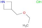 3-(ethoxymethyl)azetidine;hydrochloride