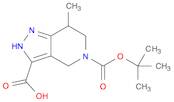 5-tert-butoxycarbonyl-7-methyl-2,4,6,7-tetrahydropyrazolo[4,3-c]pyridine-3-carboxylic acid