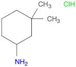 3,3-dimethylcyclohexanamine hydrochloride