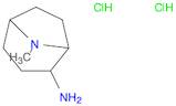 8-methyl-8-azabicyclo[3.2.1]octan-2-amine;dihydrochloride