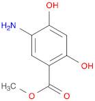 methyl 5-amino-2,4-dihydroxy-benzoate