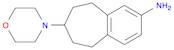 7-morpholin-4-yl-6,7,8,9-tetrahydro-5H-benzo[7]annulen-3-amine